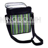 Picnic Lunch Bags Camping Drinks Cooler Bag