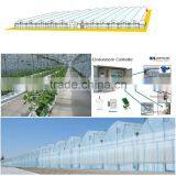 Hydroponic Greenhouse thumbnail-3