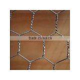 Hexagonal Wire Netting