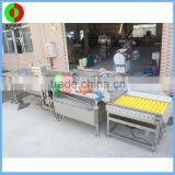 New Developed Vortex Air Bubble Ozone Fruit and Vegetable Washing Machine, Advanced Vegetable Washer for Production Line thumbnail-3