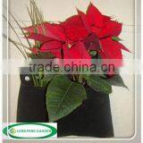 Wholesale Felt Bags,1-Pocket Vertical Garden,Vertical Garden Flower Decorative Pot thumbnail-1