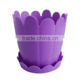 Purple Plastic Fence Pot With Saucer thumbnail-2