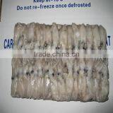 Frozen Baby Loligo Squid thumbnail-5