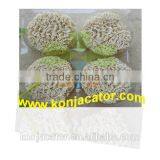 Konnyaku Vegan Instant Noodles Dried Shirataki Konjac Pasta Made From Natural Glucomannan Powder thumbnail-4