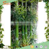Decorative Artificial Lucky Bamboo Plants for Home thumbnail-1