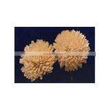 Sola Handmade Flowers thumbnail-1