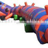 Inflatable Tunnel