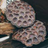 Dried Natural Arrangements Decoration Lotus Seedpod Head Shell Herbal Medicine Wholesaler Exporter Supplier thumbnail-3