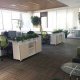 Powerful (Beijing) Petroleum Technology Co. LTD company overview - view 2 thumbnail