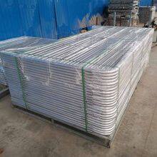 Dairy Stall Feeding System Cow Headlocks Self Locking Front Cattle Fence Panels Cattle Yard thumbnail-6