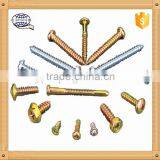 Factory Phillip Pan Head Stainless Steel Self Tapping Screw thumbnail-2