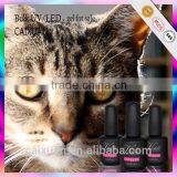 New Arrival Nail Art, Magic uv Gel Polish/ Cat Eye Color Gel Nail Polish thumbnail-2