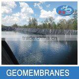 High Quality Fish and Shrimp Farm Hdpe Geomembrane thumbnail-3