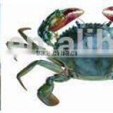 Aquatic Product to Promote Algae Growth thumbnail-1