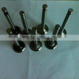 Hebei Factory Farm Tractor Parts Diesel Engine Valve/Valve for Diesel Engine thumbnail-1