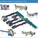 Automatic Biscuit/chocolate/cookies/bread Flow Packing Machine thumbnail-4