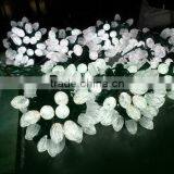 The New Christmas Lights Factory Direct Sale Strawberry Lamp thumbnail-2