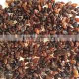 Fast Selling AD Dried Brown Sultana Raisins