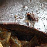 Compound Wax for Explosive Oil Content 20-25 & 25-30