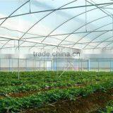 Greenhouse for Horticultural Greenhouse for Vegetable Green Houses Material thumbnail-4