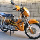New Motorcycle/Cub Motorcycle WJ110-5B(WJ-SUZUKI ENGINE)