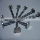 Common Nail Wire Nail thumbnail-1