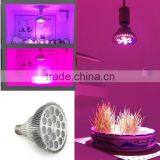 XQD Cob Led Grow Light Bulb Led Par Hydroponic Full Spectrum thumbnail-3