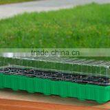 Plastic Propagation Tray