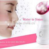 Nano Ionic Hot&Cold Facial Steamer Kingdom Facial Steamer thumbnail-3