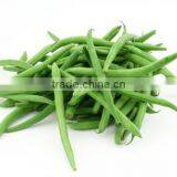 Fresh Vegetables Suppliers thumbnail-2
