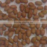 Indian Peanuts High Quality No 1 Quality