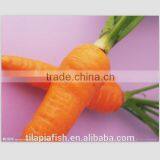 Carrot Soap, Fresh Carrot thumbnail-1