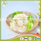With Best Quality For SaleChina New Crop Fresh White Cauliflower thumbnail-3