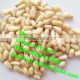 Pine Nuts Peeler/automatic Pine Nut Peeling Machine/pine Nut Kernel Peeling Machine thumbnail-6
