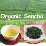 Japanese Flavor Steamed Green Tea Organic Chinese Green Tea Sencha thumbnail-1