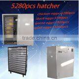High Quality Incubator 5280 Eggs Price Egg Setter Incubator Hatcher