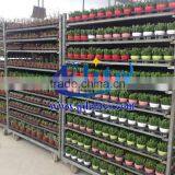 195 Dismantle and Stack the CC Euro Trolley Show Frames Roller Container thumbnail-6