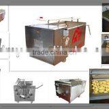 Cleaning Machine for Vegetables and Fruits