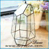Lovely Wholesale Plant Geometric Glass Terrarium Glass Container Glass Ball thumbnail-5