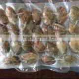 Frozen Vacuum Packed Cooked Short Necked Clam thumbnail-1
