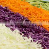 PE-0299 Y Shaped Julienne Peeler thumbnail-3