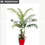 Artificial Evergreen Ornamental Plants Plastic Tree for Home Decorative Use thumbnail-3