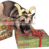 Dog Reindeer Antlers thumbnail-1