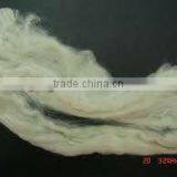 Low Price for Polyester Tow