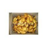 Ginger,ginger Supplier,fresh Ginger,Chinese Ginger thumbnail-3