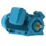 High Voltage Rib Cooled Motors thumbnail-3