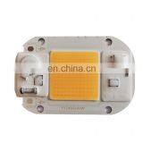 50W Cold White Warm White Led Cob Lamp Chip AC 220V Smart Led Beads DIY For Floodlight Spotlight thumbnail-4