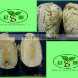 Fresh and cheap exporters of Chinese cabbage jade cabbage