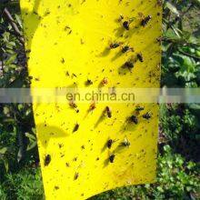 Paper Double Yellow Insect Glue Trap Sticky Paper Trap To Control Flying Plant Insect In Garden thumbnail-4