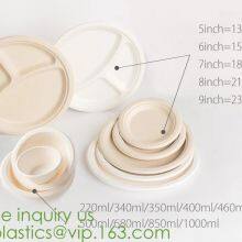 Dishes & Plates Dinnerware Blister Packaging Resturant Disposable Food Serving Tray Food Disposable Container thumbnail-3